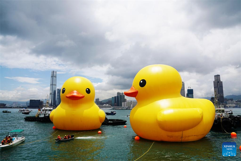 Hongkong begrüßt nach zehn Jahren wieder riesige Gummienten
