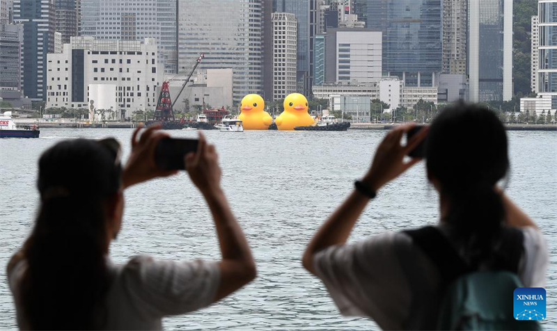 Hongkong begrüßt nach zehn Jahren wieder riesige Gummienten