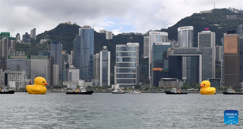 Hongkong begrüßt nach zehn Jahren wieder riesige Gummienten