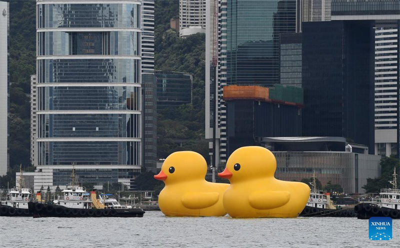 Hongkong begrüßt nach zehn Jahren wieder riesige Gummienten