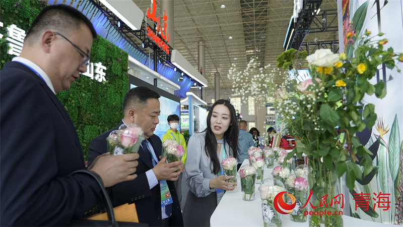 3. Chinesische Internationale Öko-Messe in Qinghai eröffnet