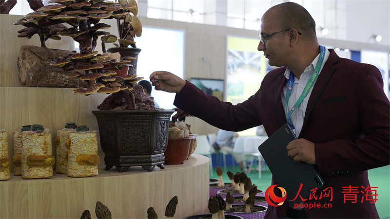 3. Chinesische Internationale Öko-Messe in Qinghai eröffnet