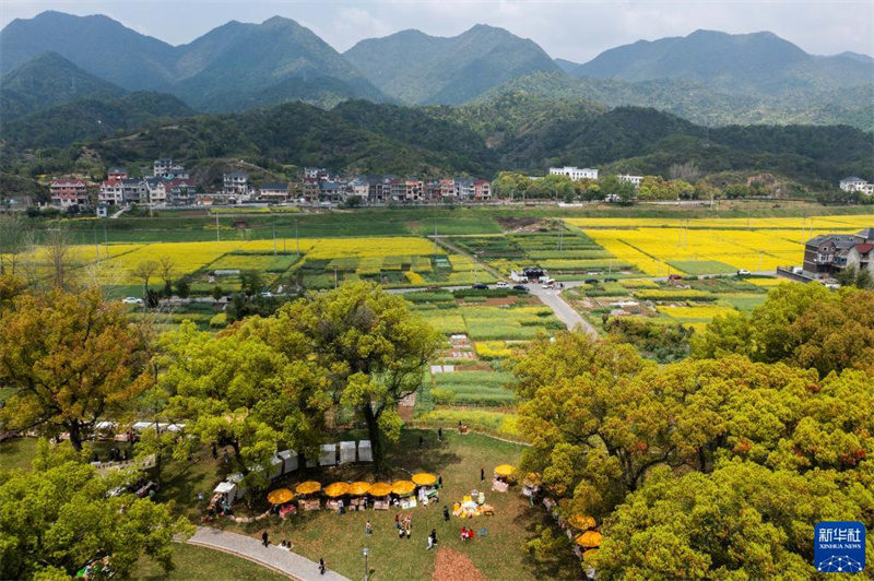 Ländliches Programm in Zhejiang macht Dörfer schöner