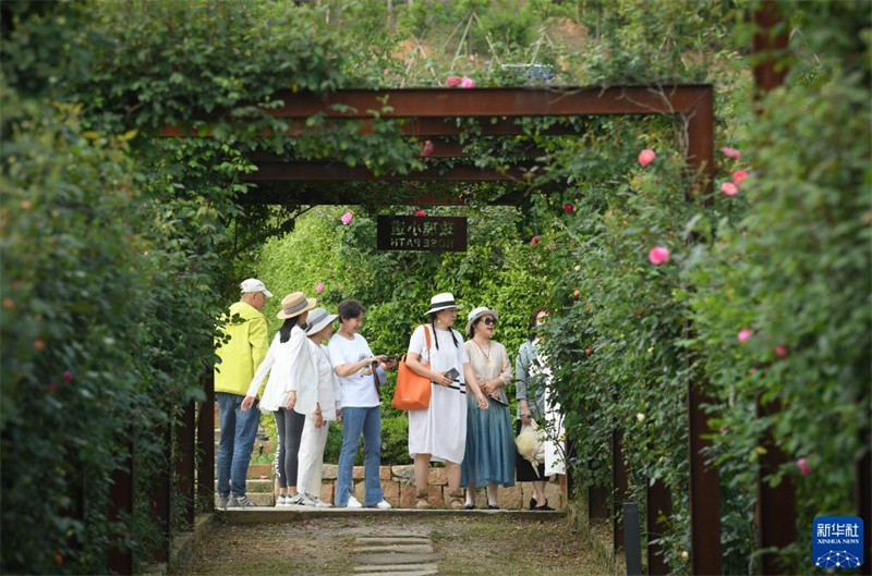 Ländliches Programm in Zhejiang macht Dörfer schöner