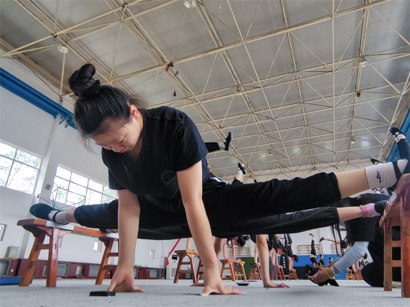 Verbreitung und Entwicklung der traditionellen Akrobatik in Wuqiao