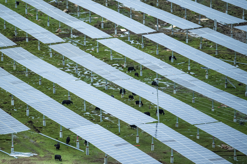 Weltweit größtes Wasser- und Solarkraftwerk geht in Betrieb