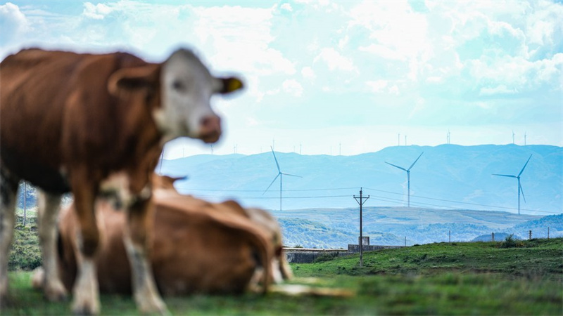 Guizhou in Südwestchina macht große Fortschritte bei der Entwicklung einer neuen Energieindustrie