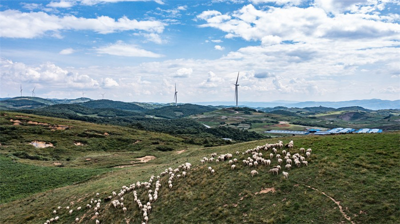 Guizhou in Südwestchina macht große Fortschritte bei der Entwicklung einer neuen Energieindustrie