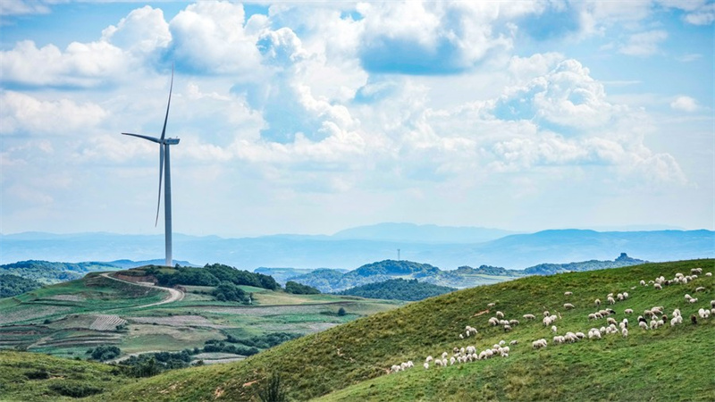 Guizhou in Südwestchina macht große Fortschritte bei der Entwicklung einer neuen Energieindustrie