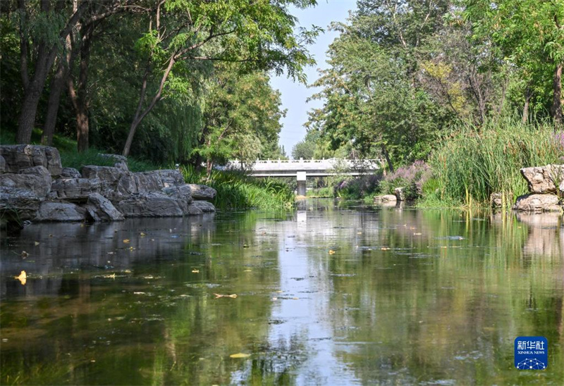 Grünes Wunder – Fluss Xinfeng sauber