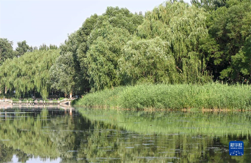 Grünes Wunder – Fluss Xinfeng sauber