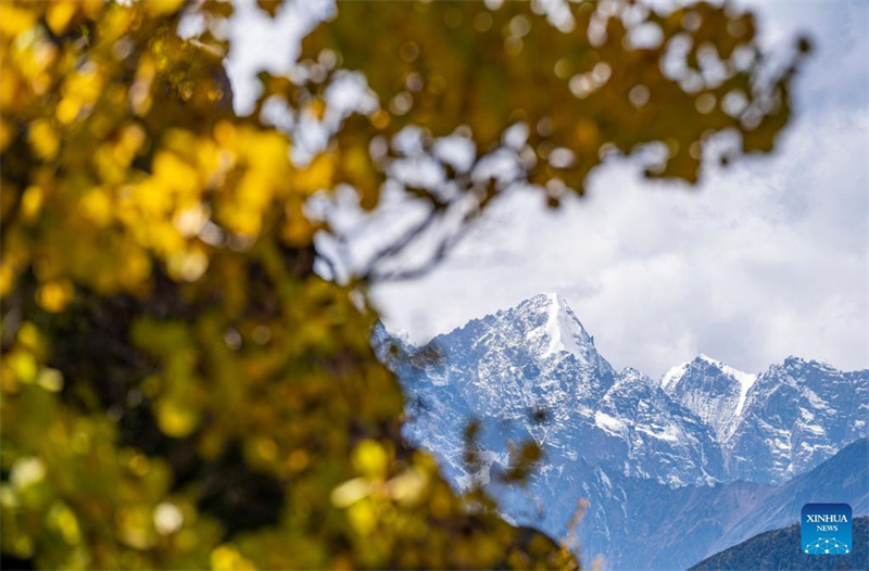 Herbstlandschaft des Hongla-Berges in Xizang