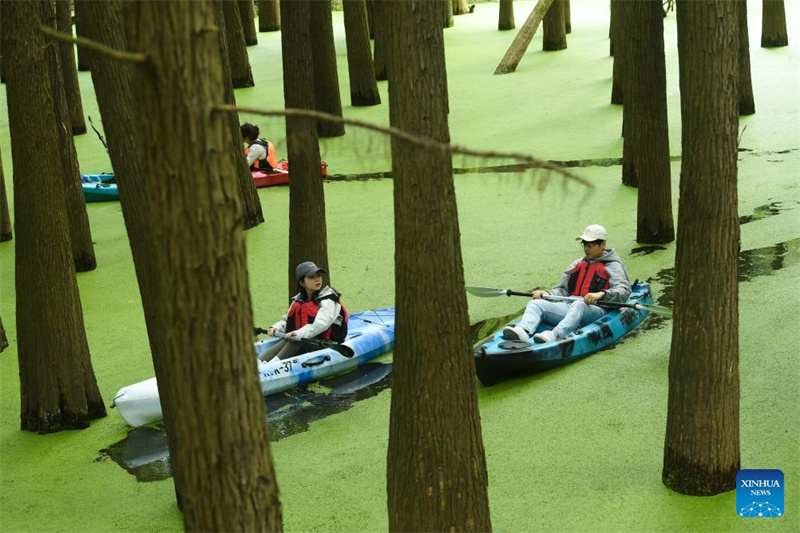 Touristen genießen den im Wasser wachsenden Wald in Hangzhou