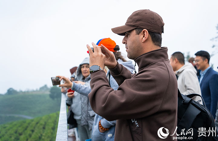 Medienvertreter aus eurasischen Ländern loben weißen Tee aus Guizhou