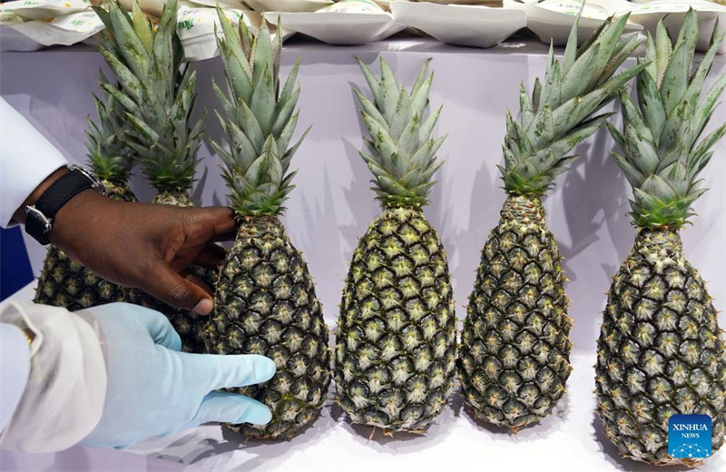 Spitzentechnologien und neue Produkte auf der 6. CIIE vorgestellt