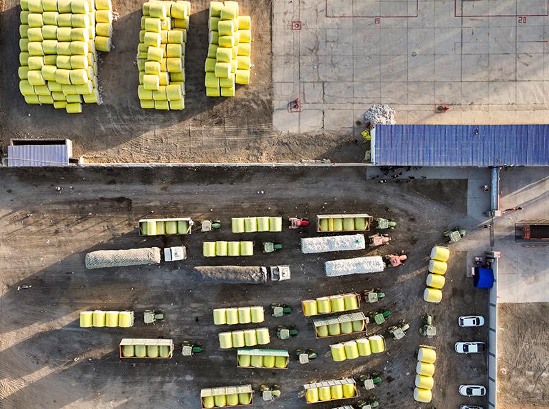 Geschäftige Baumwollernte in Xinjiang