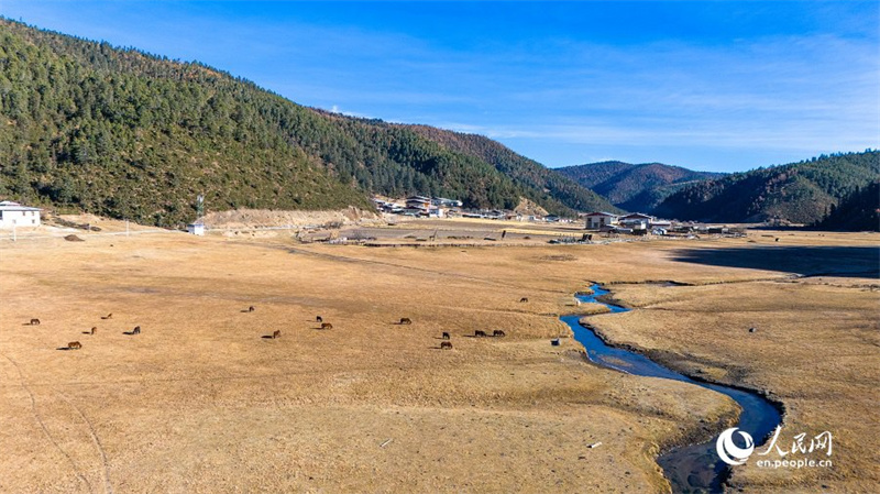 Malerische Landschaft zum Winteranfang im Shangri-La-Nationalpark im südwestchinesischen Yunnan
