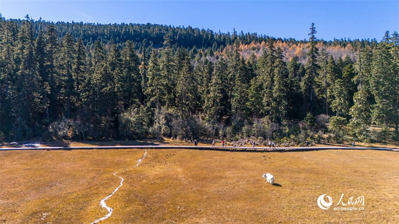 Malerische Landschaft zum Winteranfang im Shangri-La-Nationalpark im südwestchinesischen Yunnan