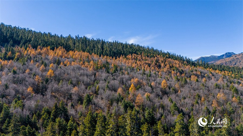 Malerische Landschaft zum Winteranfang im Shangri-La-Nationalpark im südwestchinesischen Yunnan