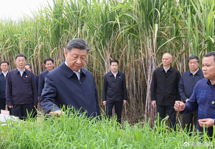 Xi Jinping besucht Laibin in Guangxi