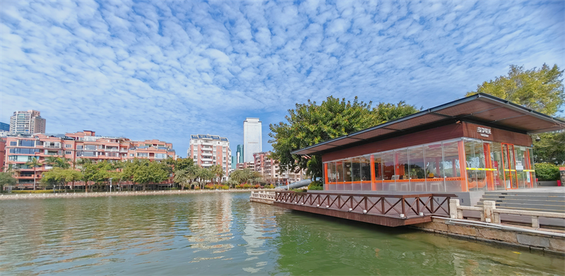 Reiher-Paradies am Yundang-See in Xiamen