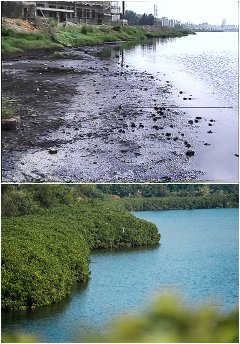 Vom stinkenden See zur grünen Lunge der Stadt: Die wundersame Wandlung des Yundang-Sees