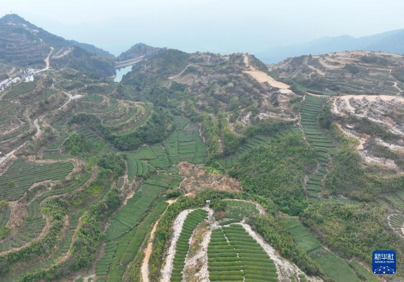 Harmonische Koexistenz zwischen Mensch und Natur in Xiamen