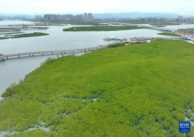 Harmonische Koexistenz zwischen Mensch und Natur in Xiamen