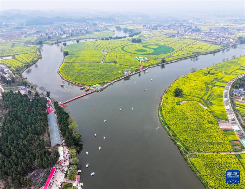 Chongqing: „Rapsblütenwirtschaft“ fördert ländliche Entwicklung