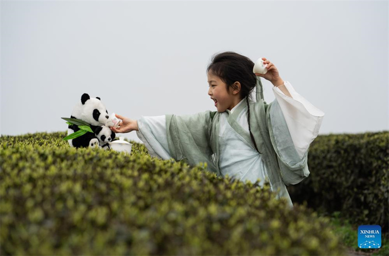 Sichuan: Tee bringt den Bewohnern Glück