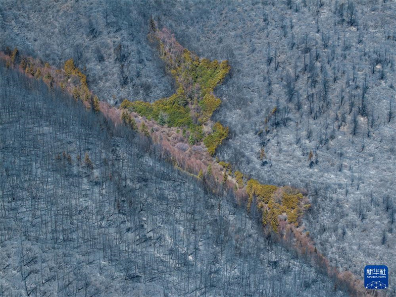 Sichuan: Rettungskräfte bekämpfen Waldbrand