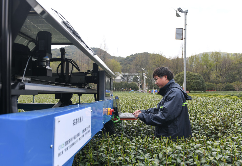 Roboter unterstützen der Teeernte in Hangzhou