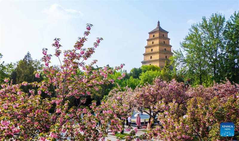 Xi'an lockt Touristen mit seiner Blumenpracht und seinen Kulturstätten