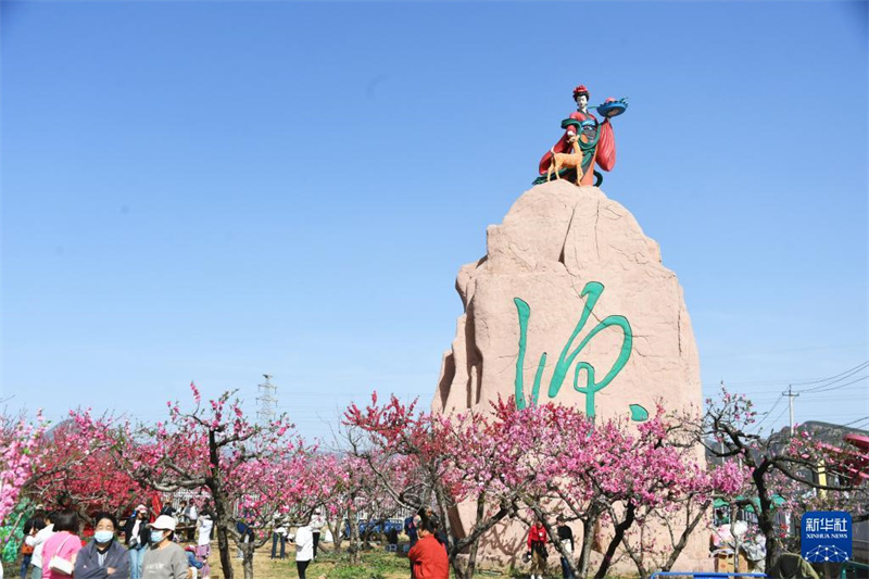 Beijing: 26. Internationales Pfirsichblüten-Festival in Pinggu eröffnet