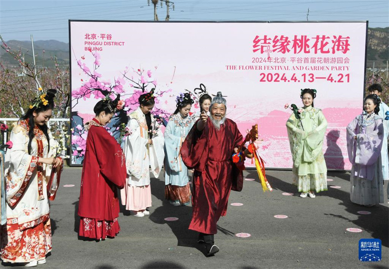 Beijing: 26. Internationales Pfirsichblüten-Festival in Pinggu eröffnet
