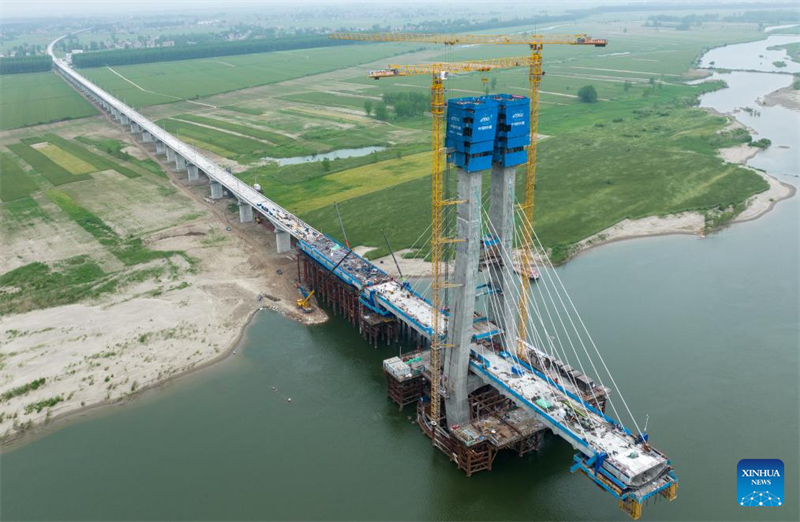 Bau der großen Zhongxiang-Hanjiang-Brücke in Hubei schreitet erfolgreich voran