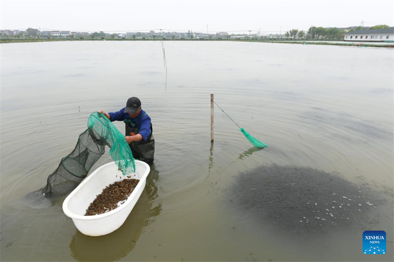 Verbessertes ökologisches Umfeld fördert die wirtschaftliche Entwicklung rund um den Taihu-See