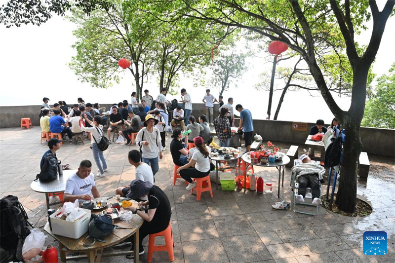 Teeindustrie in Fujian floriert durch diversifizierte Entwicklung