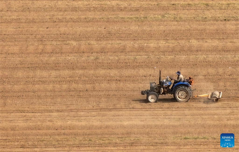 Frühjahrsanbau in vollem Gange während des Getreideregens