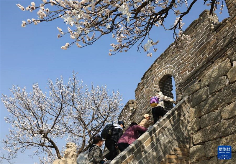 Beijing: Wunderschöne Frühlingslandschaft an der Chinesischen Mauer