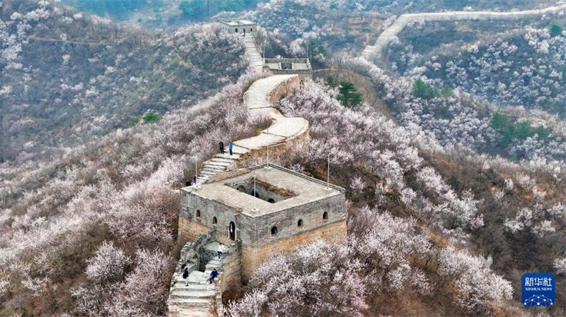 Beijing: Wunderschöne Frühlingslandschaft an der Chinesischen Mauer