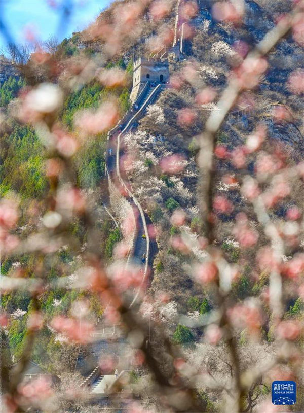 Beijing: Wunderschöne Frühlingslandschaft an der Chinesischen Mauer