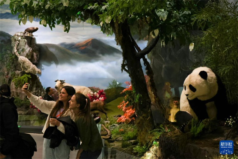 Internationales Kulturaustauschzentrum für Pandas in Sichuan eröffnet
