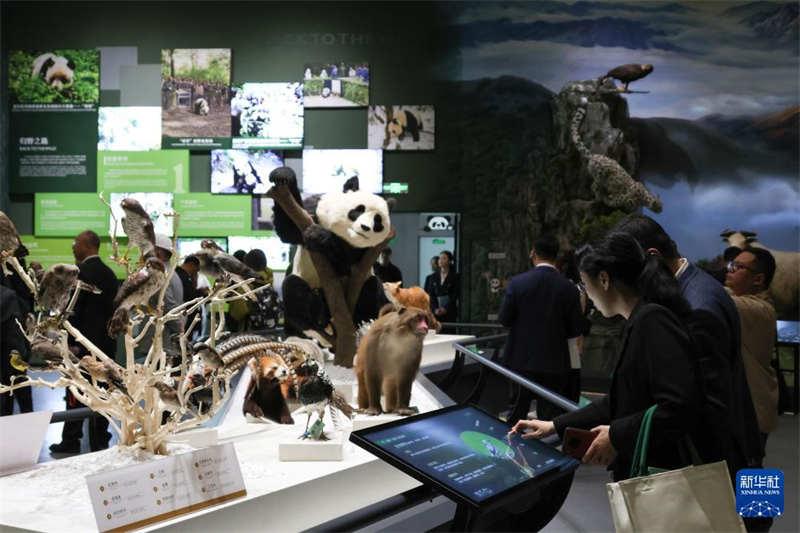 Internationales Kulturaustauschzentrum für Pandas in Sichuan eröffnet