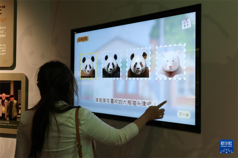 Internationales Kulturaustauschzentrum für Pandas in Sichuan eröffnet