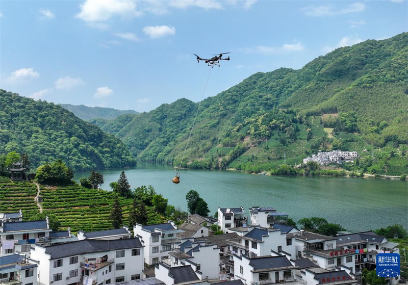 Huangshan: Drohnen helfen beim Transport in der bergigen Teeplantage