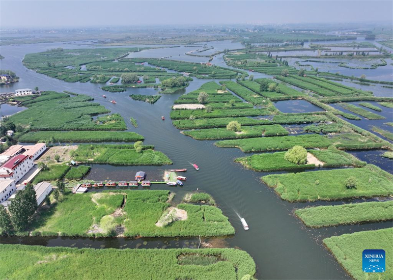 Wasserqualität des Baiyangdian-Sees in Nordchina verbessert