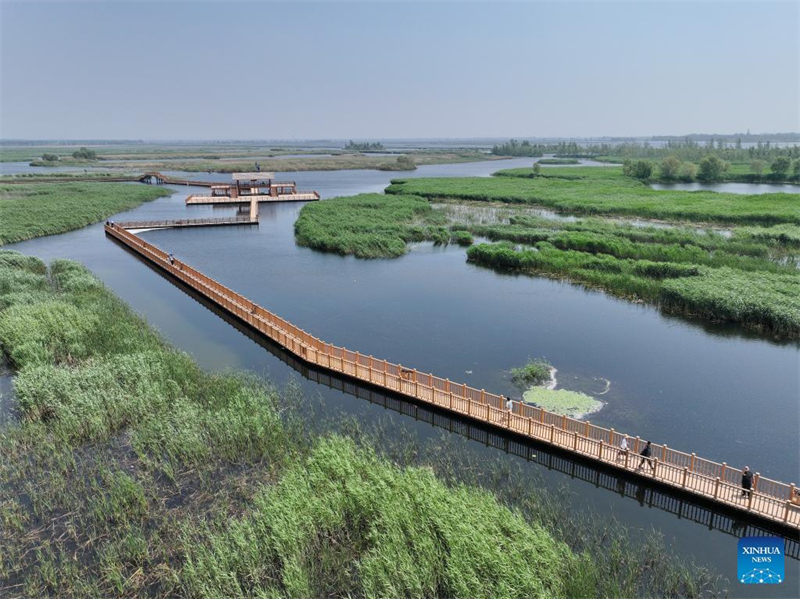 Wasserqualität des Baiyangdian-Sees in Nordchina verbessert