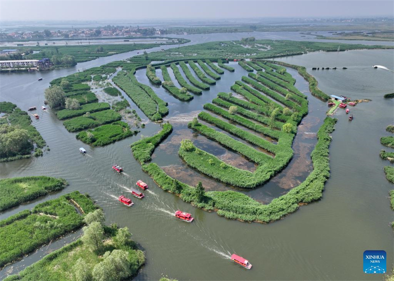 Wasserqualität des Baiyangdian-Sees in Nordchina verbessert