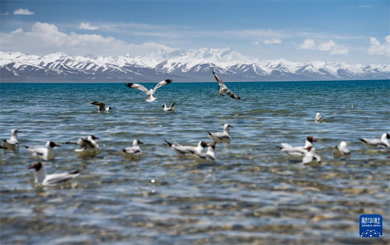 Der geschmolzene Namtso-See in Xizang begrüßt die kommende Tourismushochsaison